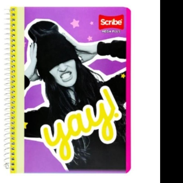 CUADERNO FRANC. MEGA SCRIBE 4544 D.RAYA ESP. 100H. C.48